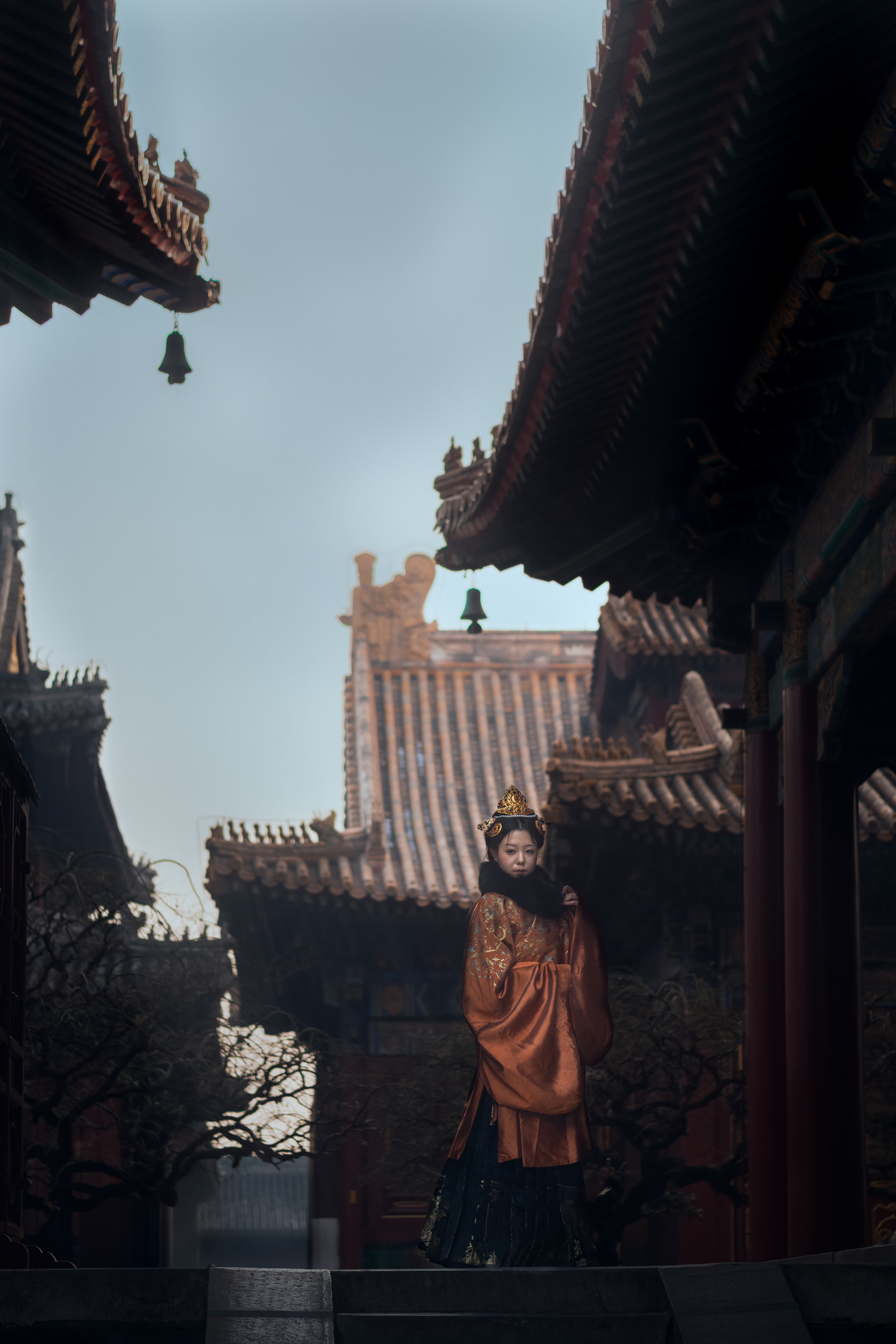 Commissions — Portrait Sessions